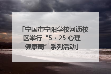 宁国市宁阳学校河沥校区举行“5・25 心理健康周”系列活动