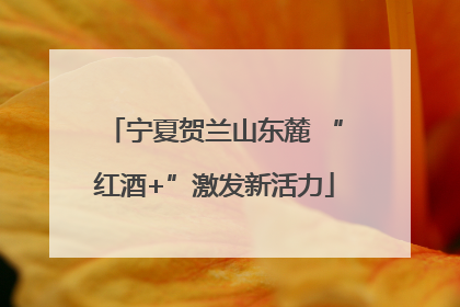 宁夏贺兰山东麓 “红酒+”激发新活力