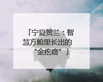 宁夏贺兰：智慧方舱里长出的“金疙瘩”