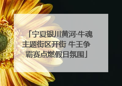 宁夏银川黄河·牛魂主题街区开街 牛王争霸赛点燃假日氛围