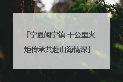宁夏闽宁镇 十公里火炬传承共赴山海情深