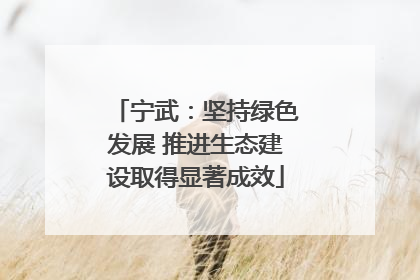 宁武：坚持绿色发展 推进生态建设取得显著成效