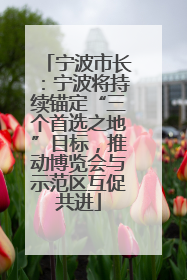 宁波市长：宁波将持续锚定“三个首选之地”目标，推动博览会与示范区互促共进