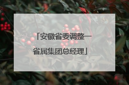 安徽省委调整一省属集团总经理
