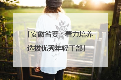 安徽省委：着力培养选拔优秀年轻干部