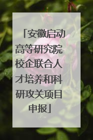 安徽启动高等研究院校企联合人才培养和科研攻关项目申报