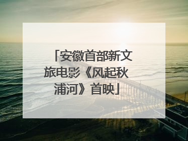 安徽首部新文旅电影《风起秋浦河》首映