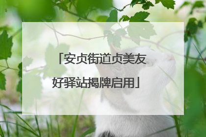 安贞街道贞美友好驿站揭牌启用