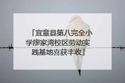 宜章县第八完全小学廖家湾校区劳动实践基地喜获丰收