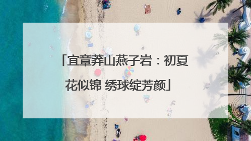 宜章莽山燕子岩：初夏花似锦 绣球绽芳颜