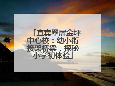 宜宾翠屏金坪中心校：幼小衔接架桥梁，探秘小学初体验
