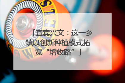 宜宾兴文：这一乡镇以创新种植模式拓宽“增收路”