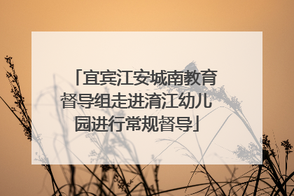 宜宾江安城南教育督导组走进淯江幼儿园进行常规督导