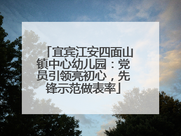 宜宾江安四面山镇中心幼儿园：党员引领亮初心，先锋示范做表率