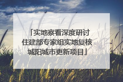 实地察看深度研讨 住建部专家组实地复核城阳城市更新项目