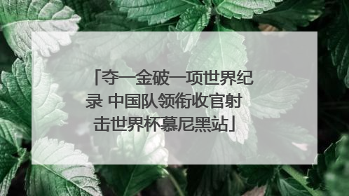 夺一金破一项世界纪录 中国队领衔收官射击世界杯慕尼黑站
