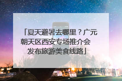 夏天避暑去哪里？广元朝天区西安专场推介会 发布旅游美食线路