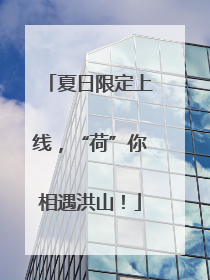 夏日限定上线，“荷”你相遇洪山！