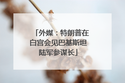 外媒：特朗普在白宫会见巴基斯坦陆军参谋长