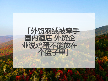 外贸羽绒被牵手国内酒店 外贸企业说鸡蛋不能放在一个篮子里