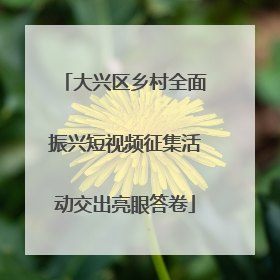 大兴区乡村全面振兴短视频征集活动交出亮眼答卷