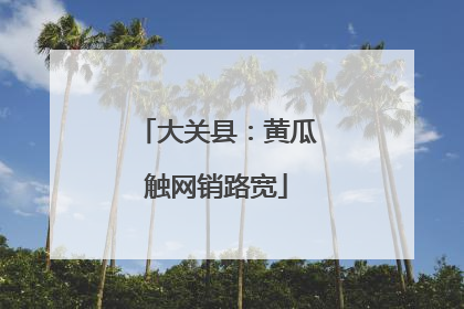 大关县：黄瓜触网销路宽