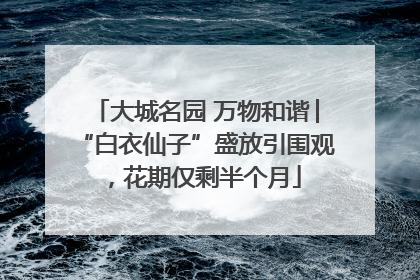 大城名园 万物和谐│“白衣仙子”盛放引围观，花期仅剩半个月
