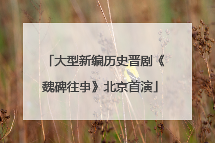 大型新编历史晋剧《魏碑往事》北京首演