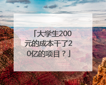 大学生200元的成本干了20亿的项目？