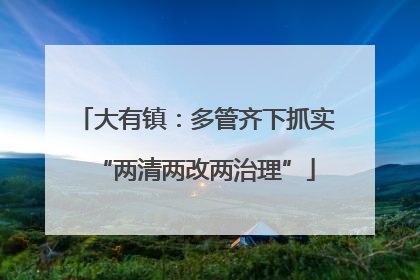 大有镇：多管齐下抓实“两清两改两治理”