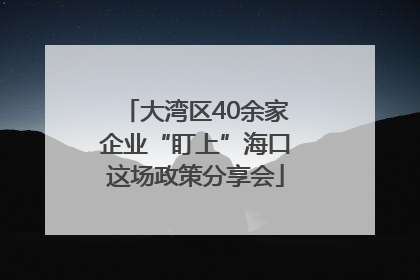 大湾区40余家企业“盯上”海口这场政策分享会