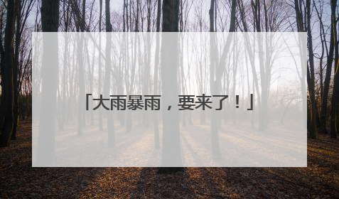 大雨暴雨，要来了！