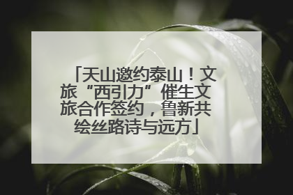 天山邀约泰山！文旅“西引力”催生文旅合作签约，鲁新共绘丝路诗与远方