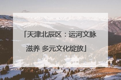 天津北辰区：运河文脉滋养 多元文化绽放