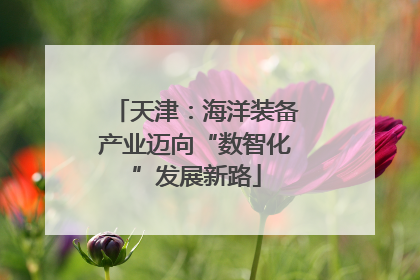 天津：海洋装备产业迈向“数智化”发展新路
