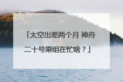 太空出差两个月 神舟二十号乘组在忙啥？