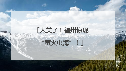 太美了！福州惊现“萤火虫海”！