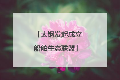 太钢发起成立船舶生态联盟