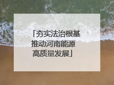 夯实法治根基 推动河南能源高质量发展
