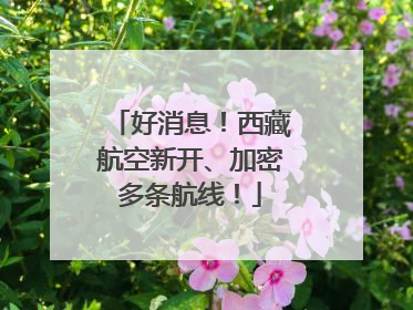 好消息！西藏航空新开、加密多条航线！