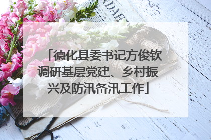 德化县委书记方俊钦调研基层党建、乡村振兴及防汛备汛工作