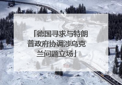 德国寻求与特朗普政府协调涉乌克兰问题立场