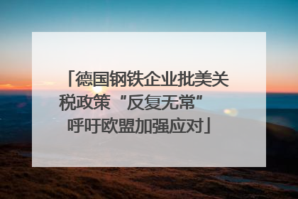 德国钢铁企业批美关税政策“反复无常” 呼吁欧盟加强应对