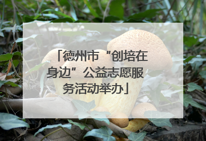 德州市“创培在身边”公益志愿服务活动举办
