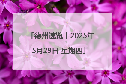 德州速览丨2025年5月29日 星期四