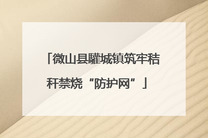 微山县驩城镇筑牢秸秆禁烧“防护网”