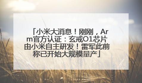 小米大消息！刚刚，Arm官方认证：玄戒O1芯片由小米自主研发！雷军此前称已开始大规模量产