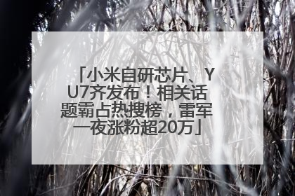 小米自研芯片、YU7齐发布！相关话题霸占热搜榜，雷军一夜涨粉超20万