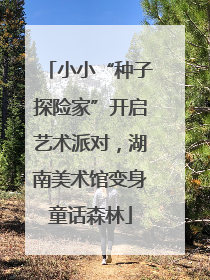 小小“种子探险家”开启艺术派对，湖南美术馆变身童话森林