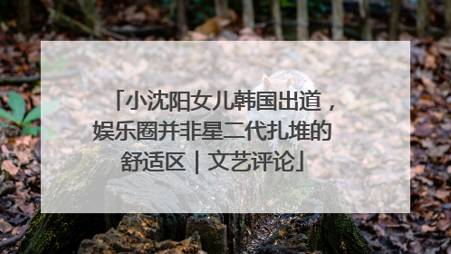 小沈阳女儿韩国出道，娱乐圈并非星二代扎堆的舒适区｜文艺评论